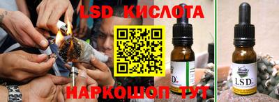 ешки Кингисепп