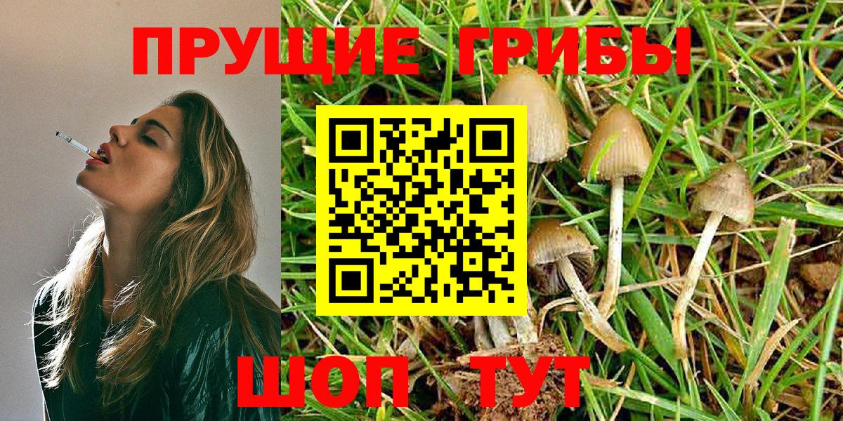 Галлюциногенные грибы ЛСД Балтийск