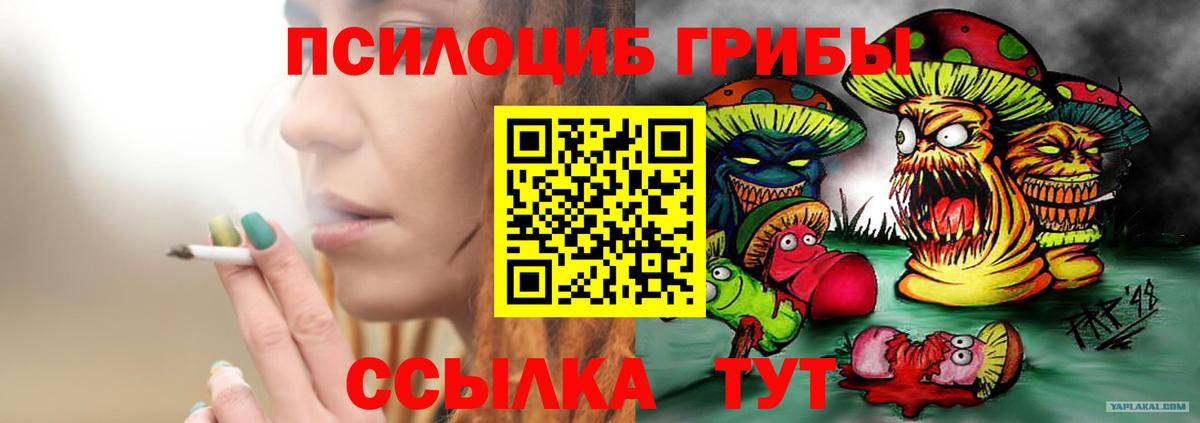 Балтийск  Псилоцибиновые грибы мухоморы  Галлюциногенные грибы ЛСД  Вход с VPN 