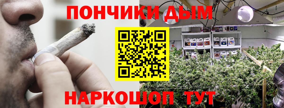 Бошки марихуана OG Kush Балтийск